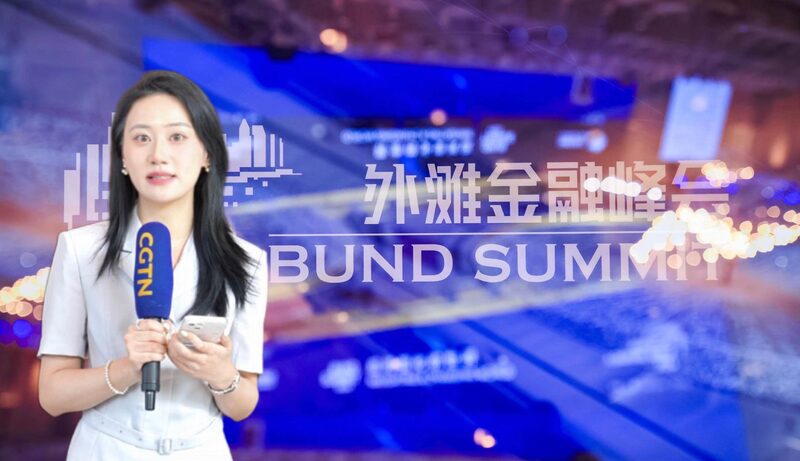 Cumbre_del_Bund_de_Shangha_i_2024__Accio_n_Clima_tica_y_Desafi_os_de_una_Sociedad_Envejecida___ video poster