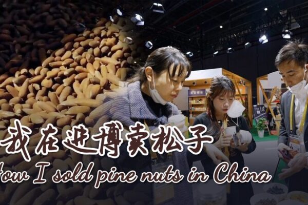 De Afganistán a China: El viaje de los piñones de Ali 🌰✨ De_Afganista_n_a_China__El_viaje_de_los_pin_ones_de_Ali___ video poster