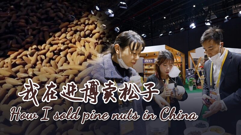 De_Afganista_n_a_China__El_viaje_de_los_pin_ones_de_Ali___ video poster