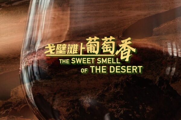 De Arenas del Desierto a Tierras de Vino: La Transformación de Uvas en Xihaigu De_Arenas_del_Desierto_a_Tierras_de_Vino__La_Transformacio_n_de_Uvas_en_Xihaigu video poster