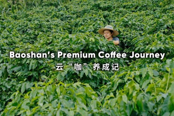 De_Baoshan_al_Mundo__Co_mo_los_Jo_venes_Agricultores_Esta_n_Preparando_el_E_xito video poster