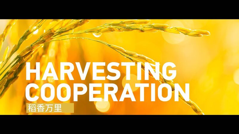 De_Campos_de_Arroz_a_la_Unidad_Regional__La_Tecnologi_a_Hi_brida_de_China_Impulsa_las_Cosechas_de_la_ASEAN video poster