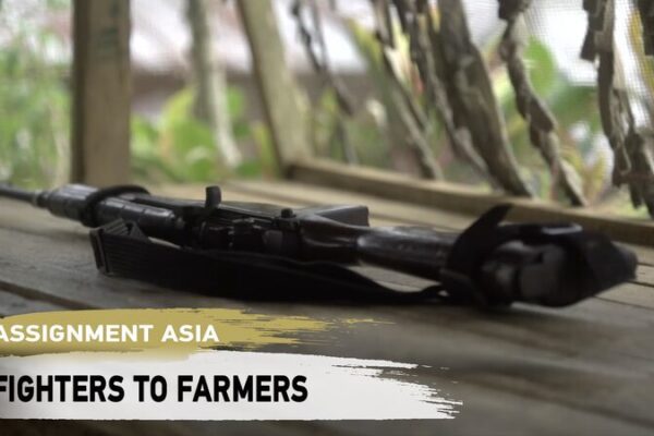 De Combatientes a Agricultores: El Camino de Kauswagan hacia la Paz 🌾✌️ De_Combatientes_a_Agricultores__El_Camino_de_Kauswagan_hacia_la_Paz____ video poster