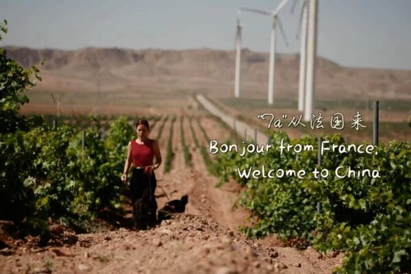 De Francia a Ningxia: La mágica aventura vinícola de Christelle 🍷 De_Francia_a_Ningxia__La_ma_gica_aventura_vini_cola_de_Christelle__ video poster
