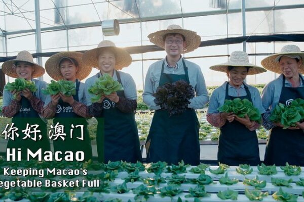 De Guangdong a Macao: El Fresco Secreto Detrás de los Vegetales de Macao 🌱 De_Guangdong_a_Macao__El_Fresco_Secreto_Detra_s_de_los_Vegetales_de_Macao__ video poster