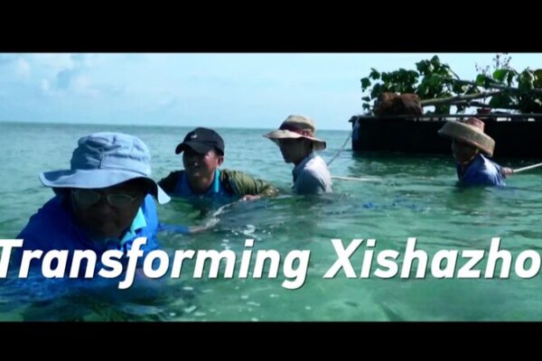 De Isla Árida a Oasis Verde: La Transformación de Xishazhou 🌱 De_Isla_A_rida_a_Oasis_Verde__La_Transformacio_n_de_Xishazhou__ video poster