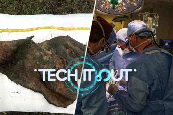 De_Mamuts_a_Agujeros_Negros___Las_Principales_Historias_Cienti_ficas_Que_Debes_Conocer_ video poster