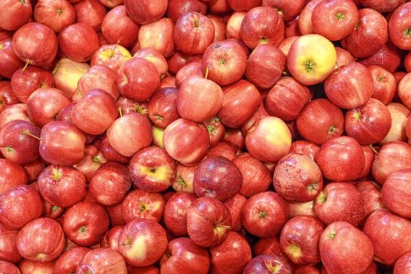 De Nueva Zelanda a China: El viaje nutritivo de la manzana Gala 🍎✈️ De_Nueva_Zelanda_a_China__El_viaje_nutritivo_de_la_manzana_Gala____