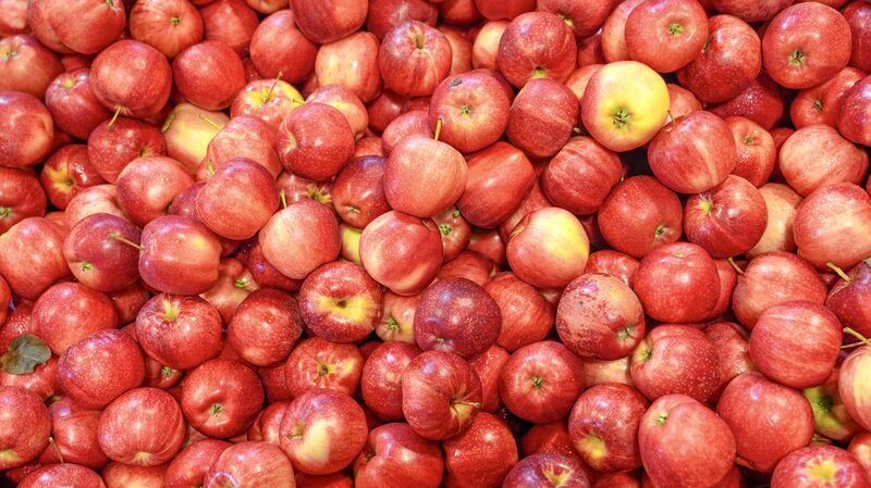 De_Nueva_Zelanda_a_China__El_viaje_nutritivo_de_la_manzana_Gala____