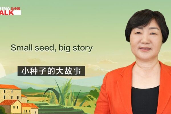 De Semillas a Éxito: La Inspiradora Historia de Zhang Xiuyun en Lijiang De_Semillas_a_E_xito__La_Inspiradora_Historia_de_Zhang_Xiuyun_en_Lijiang video poster