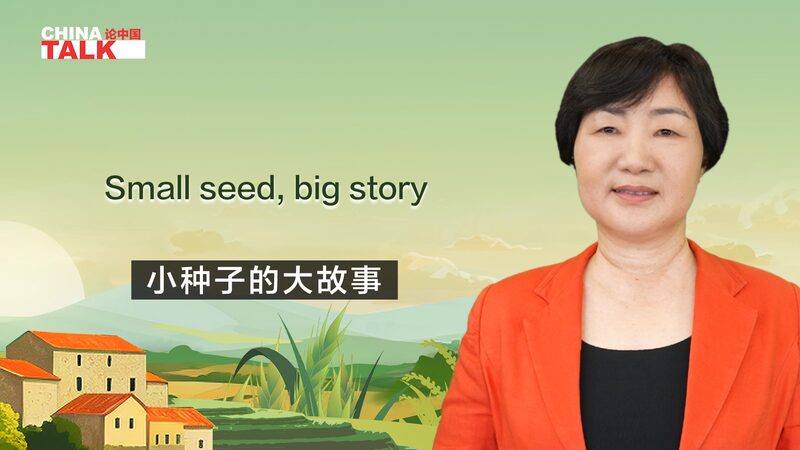De_Semillas_a_E_xito__La_Inspiradora_Historia_de_Zhang_Xiuyun_en_Lijiang video poster