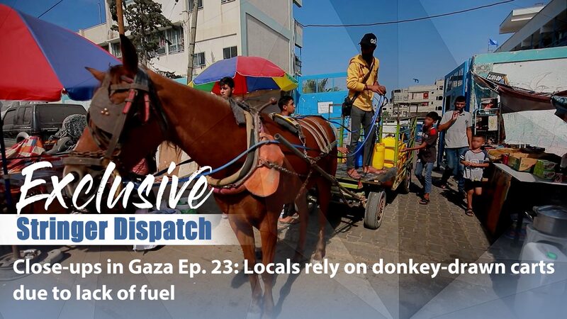 De_Vuelta_a_los_Carros_de_Burros__Los_Gazati_es_Recurrren_a_Viejas_Formas_en_Medio_de_la_Escasez_de_Combustible video poster