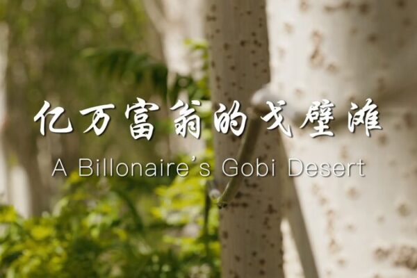 De desierto a viñedo: el millonario que transformó el Gobi De_desierto_a_vin_edo__el_millonario_que_transformo__el_Gobi video poster