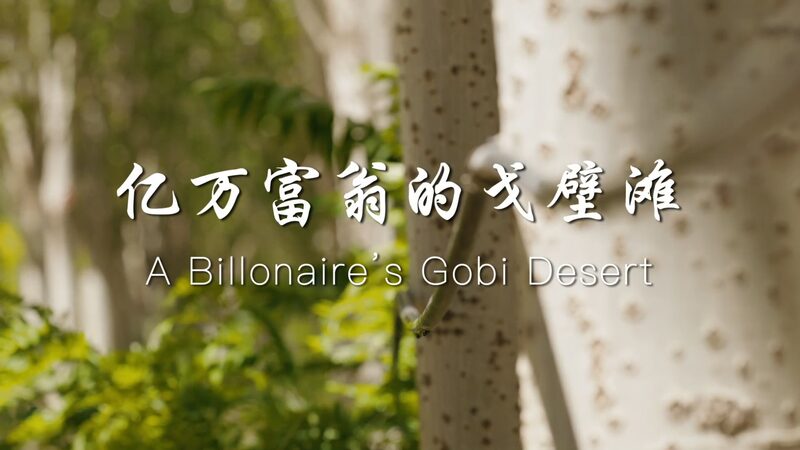 De_desierto_a_vin_edo__el_millonario_que_transformo__el_Gobi video poster