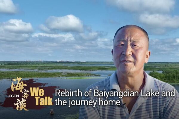 De_la_Sequi_a_a_la_Esperanza__El_Regreso_de_una_Familia_al_Lago_Baiyangdian___ video poster