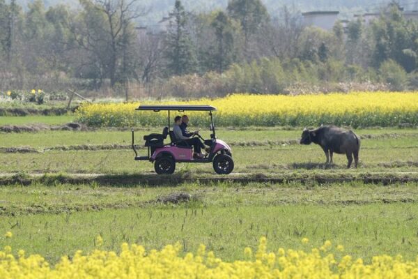 De_los_Alpes_a_Huangshan__El_Viaje_al_Hogar_de_Ensuen_o_de_una_Familia video poster