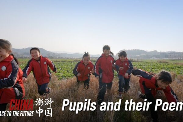 Del Aula al Campo: El Viaje de una Maestra Inspirando a Jóvenes Poetas 🌾✏️ Del_Aula_al_Campo__El_Viaje_de_una_Maestra_Inspirando_a_Jo_venes_Poetas____ video poster