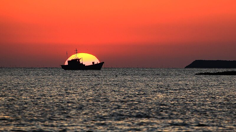 _Descubre_Dalian__Atardeceres_en_vivo_y_el_Foro_de_Verano_de_Davos_2024 video poster