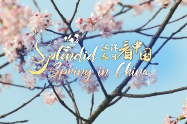 Descubre Fanjingshan: El Pico MĂstico y Santuario Budista de China Descubre_Fanjingshan__El_Pico_Mi_stico_y_Santuario_Budista_de_China video poster