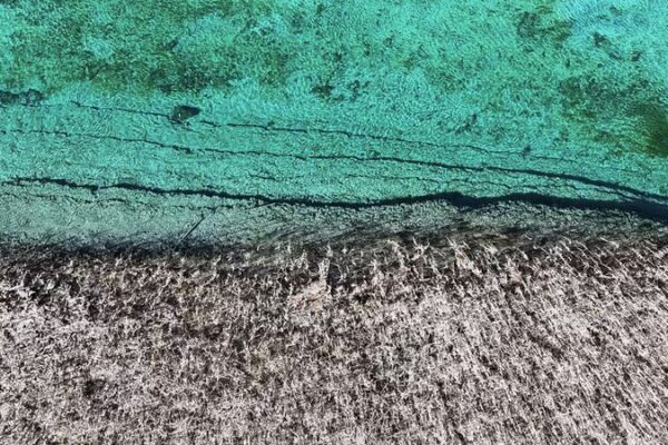 Descubre_Jiuzhaigou__El_Pai_s_de_las_Maravillas_Multicolor_de_China__ video poster