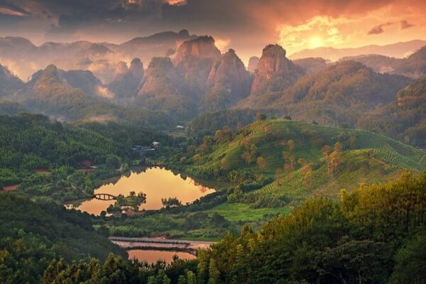 Descubre_Las_Maravillas_Ende_micas_del_Monte_Wuyi__Un_Parai_so_de_Biodiversidad_en_China