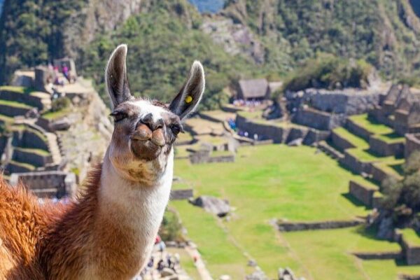 Descubre_Machu_Picchu__La_Antigua_Ciudad_Inca_en_las_Nubes__