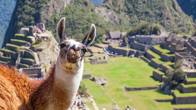 Descubre_Machu_Picchu__La_Antigua_Ciudad_Inca_en_las_Nubes__