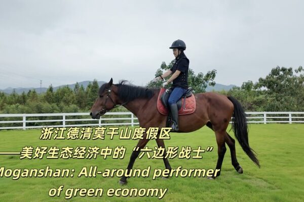 Descubre Moganshan: El Paraíso Verde de China Espera a Jóvenes Aventureros Descubre_Moganshan__El_Parai_so_Verde_de_China_Espera_a_Jo_venes_Aventureros video poster