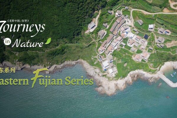 Descubre Pingtan: El ‘Museo Natural de la Erosión Marina’ de China Esculpido por las Olas Descubre_Pingtan__El__Museo_Natural_de_la_Erosio_n_Marina__de_China_Esculpido_por_las_Olas video poster