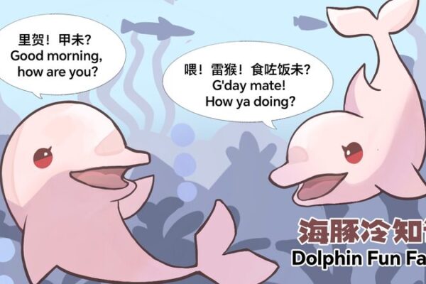 ¡Descubre datos divertidos sobre delfines con los nuevos cómics de CGTN! _Descubre_datos_divertidos_sobre_delfines_con_los_nuevos_co_mics_de_CGTN_