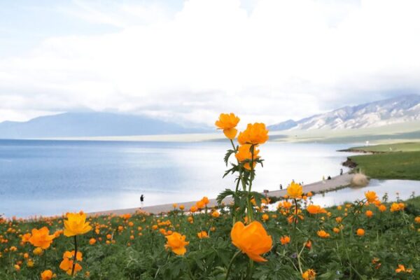 Descubre el Lago Sayram de Xinjiang: La última lágrima del Atlántico 🌊✨ Descubre_el_Lago_Sayram_de_Xinjiang__La_u_ltima_la_grima_del_Atla_ntico___