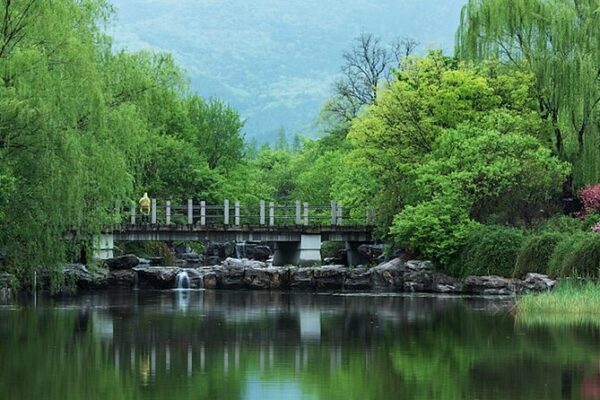 Descubre_el_Oasis_Urbano_de_Peki_n__El_Asombroso_Jardi_n_Bota_nico_Nacional video poster