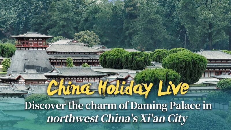 Descubre_el_Palacio_Daming_de_Xi_an__Un_Viaje_en_el_Tiempo_Durante_la_Semana_Dorada_de_China video poster
