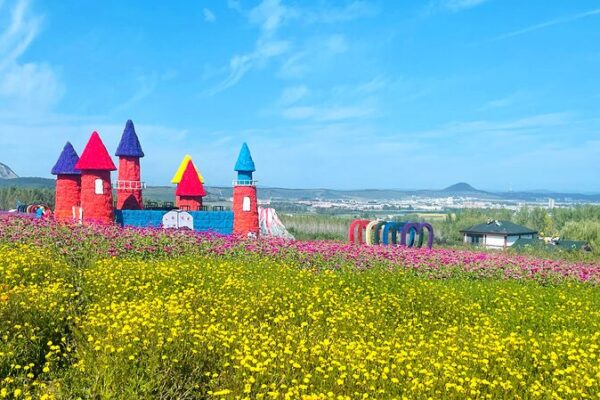 Descubre el Paraíso Floral del Área Escénica de Piyanshan 🌸 Descubre_el_Parai_so_Floral_del_A_rea_Esce_nica_de_Piyanshan__