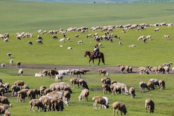Descubre el Paraíso Verde de la Pradera de Hulun Buir 🌿 Descubre_el_Parai_so_Verde_de_la_Pradera_de_Hulun_Buir__