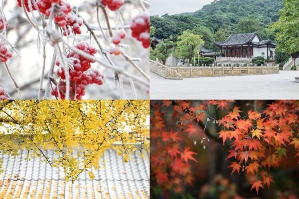¡Descubre el mágico paisaje invernal en diferentes rincones de la China continental! ❄️ _Descubre_el_ma_gico_paisaje_invernal_en_diferentes_rincones_de_la_China_continental____ video poster