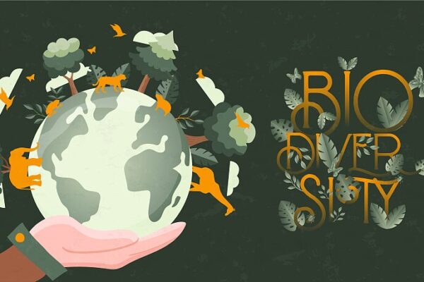 Descubre en vivo la biodiversidad de China en el IDB 2024: ¡Sé parte del plan! 🌱🌏 Descubre_en_vivo_la_biodiversidad_de_China_en_el_IDB_2024___Se__parte_del_plan____ video poster
