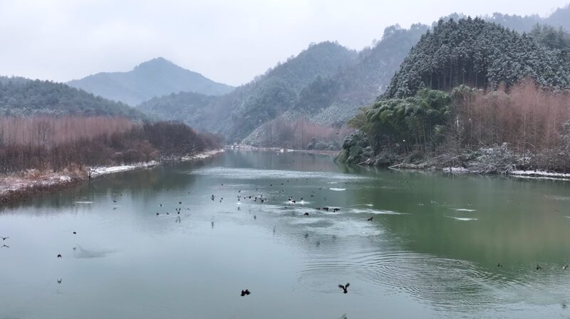 Descubre_la_Belleza_Oculta_de_Liren_Village__El_Parai_so_Nevado_de_China video poster