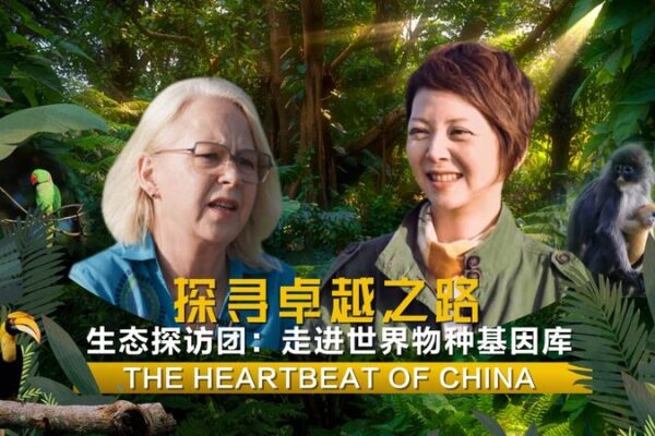 Descubre_la_Biodiversidad_de_Dehong__El_Corazo_n_Salvaje_de_China