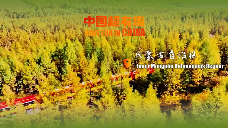 Descubre_la_Magia_de_Oton_o_en_el_Parque_Nacional_del_Bosque_Moerdaoga video poster