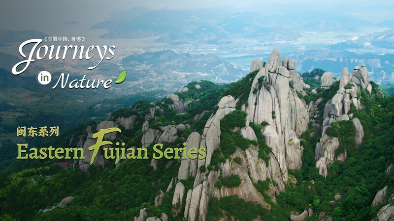 Descubre_la_Montan_a_Taimu__El_Pai_s_de_las_Maravillas_de_China_en_el_Mar video poster