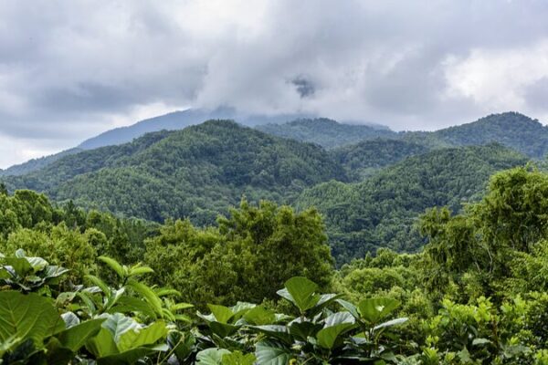 Descubre la Montaña Wuzhi: La Épica Cima de Cinco Dedos de Hainan 🏔️ Descubre_la_Montan_a_Wuzhi__La_E_pica_Cima_de_Cinco_Dedos_de_Hainan___ video poster