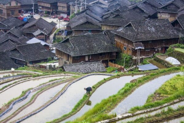 Descubre la Perla en las Terrazas: Aldea Miao en Guizhou Descubre_la_Perla_en_las_Terrazas__Aldea_Miao_en_Guizhou