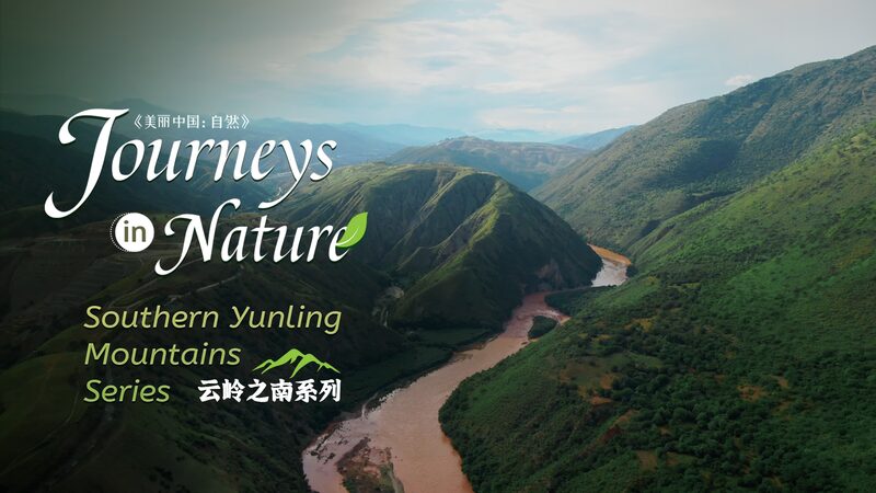Descubre_la_Propia_Sabana_Africana_de_China_en_el_Valle_del_Ri_o_Yuanjiang__ video poster