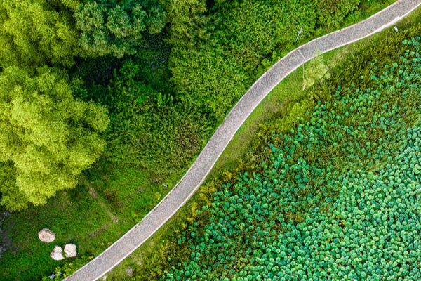 Descubre la Tranquilidad en el Lujoso Oasis Verde de Changchun 🌿 Descubre_la_Tranquilidad_en_el_Lujoso_Oasis_Verde_de_Changchun__