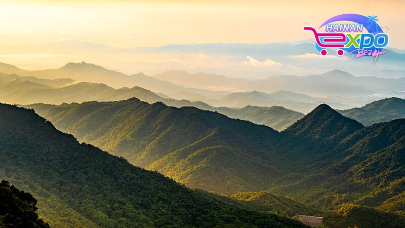 Descubre_la_joya_oculta_de_Hainan__El_encantador_bosque_lluvioso_de_Jianfengling__