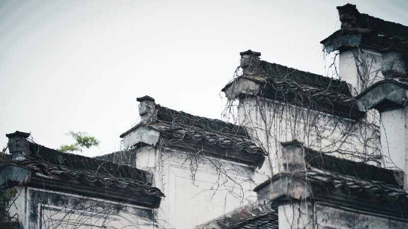 Descubre_la_magia_de_la_arquitectura_Hui__donde_el_arte_se_encuentra_con_la_naturaleza___