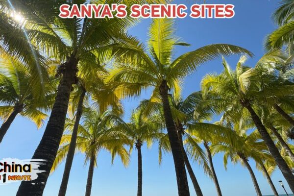 Descubre la magia tropical de Sanya: playas, montañas y cultura más allá de HIIFF Descubre_la_magia_tropical_de_Sanya__playas__montan_as_y_cultura_ma_s_alla__de_HIIFF video poster