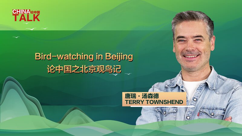 Descubre_las_aves_de_Beijing_con_Terry_Townshend___La_naturaleza_en_la_ciudad_ video poster