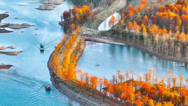 Descubre_los_Bosques_de_Cipreses_Multicolores_del_Parque_del_Humedal_de_Ningguo___